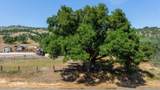 70075 Vineyard Canyon Road - Photo 24