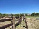 200 Acres Mccain Valley Rd - Photo 7