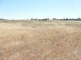 13105 River Bluffs (Lot 4) Lane - Photo 44