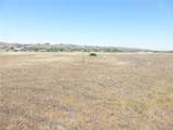13060 River Bluffs (Lot 1) Lane - Photo 17