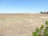 13060 River Bluffs (Lot 1) Lane - Photo 21