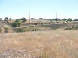 13060 River Bluffs (Lot 1) Lane - Photo 28