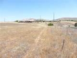 13060 River Bluffs (Lot 1) Lane - Photo 33