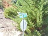 13060 River Bluffs (Lot 1) Lane - Photo 45