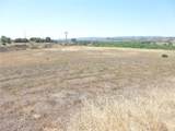 13060 River Bluffs (Lot 1) Lane - Photo 5