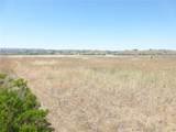 13040 River Bluffs (Lot 8) Lane - Photo 15