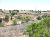 13040 River Bluffs (Lot 8) Lane - Photo 18