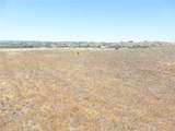 13040 River Bluffs (Lot 8) Lane - Photo 25