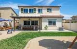 24219 Blackberry Street - Photo 51
