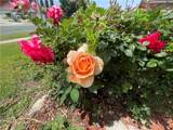 853 Crestview Street - Photo 25
