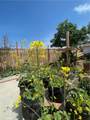 853 Crestview Street - Photo 29