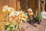 40197 Gallatin Court - Photo 45