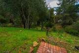 695 Black Ridge Lane - Photo 30