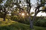 12460 San Marcos Road - Photo 26