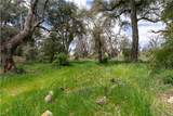 29972 Chihuahua Valley Road - Photo 3