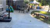 11834 Kerrwood Street - Photo 27
