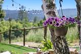 6443 Zayante Road - Photo 41