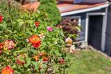6443 Zayante Road - Photo 48