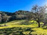 22 Arroyo Sequoia - Photo 8