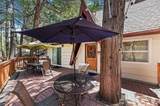 306 Dolly Varden Drive - Photo 14