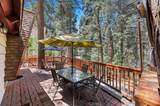 306 Dolly Varden Drive - Photo 15
