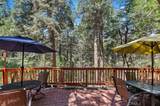 306 Dolly Varden Drive - Photo 16