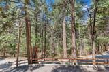 306 Dolly Varden Drive - Photo 17