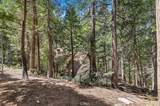306 Dolly Varden Drive - Photo 42