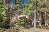 306 Dolly Varden Drive - Photo 43