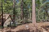306 Dolly Varden Drive - Photo 44