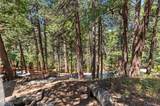 306 Dolly Varden Drive - Photo 45