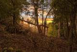 21932 Crestline Road - Photo 31