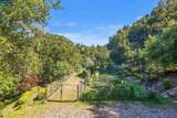 53 Tara Rd - Photo 54