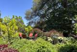 21106 Brush Road - Photo 78
