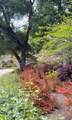 21106 Brush Road - Photo 82