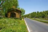 91 Rockinghorse - Photo 71