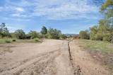 56471 Lubo Trail - Photo 36