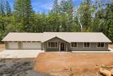 4901 Papaya Road - Photo 1