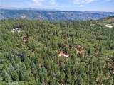 4901 Papaya Road - Photo 61