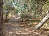 4782 Sleeping Indian Road - Photo 6