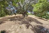 2227 Foxhill Drive - Photo 19