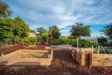1561 Cielo Lane - Photo 41