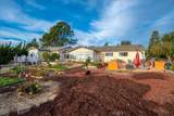 1561 Cielo Lane - Photo 45