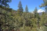 1801 Bernina Drive - Photo 39
