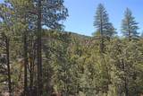 1801 Bernina Drive - Photo 40