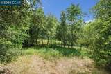 3159 Lucas Dr - Photo 35
