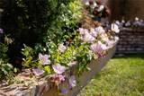 10357 Somerset Drive - Photo 42