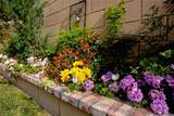 10357 Somerset Drive - Photo 43