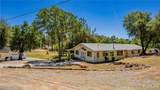 43096 Deer Trail Way - Photo 38
