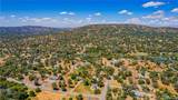 43096 Deer Trail Way - Photo 46